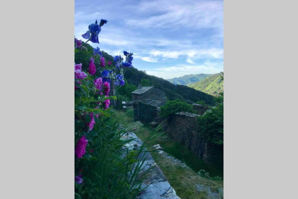 La Pellegrine, Parc National Des Cevennes Villa Le Salson ภายนอก รูปภาพ